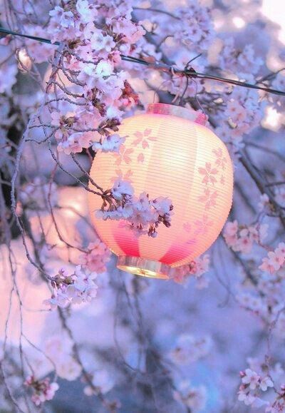 Lanterne, cerisier, lune, Mimi Turquoise, poésie