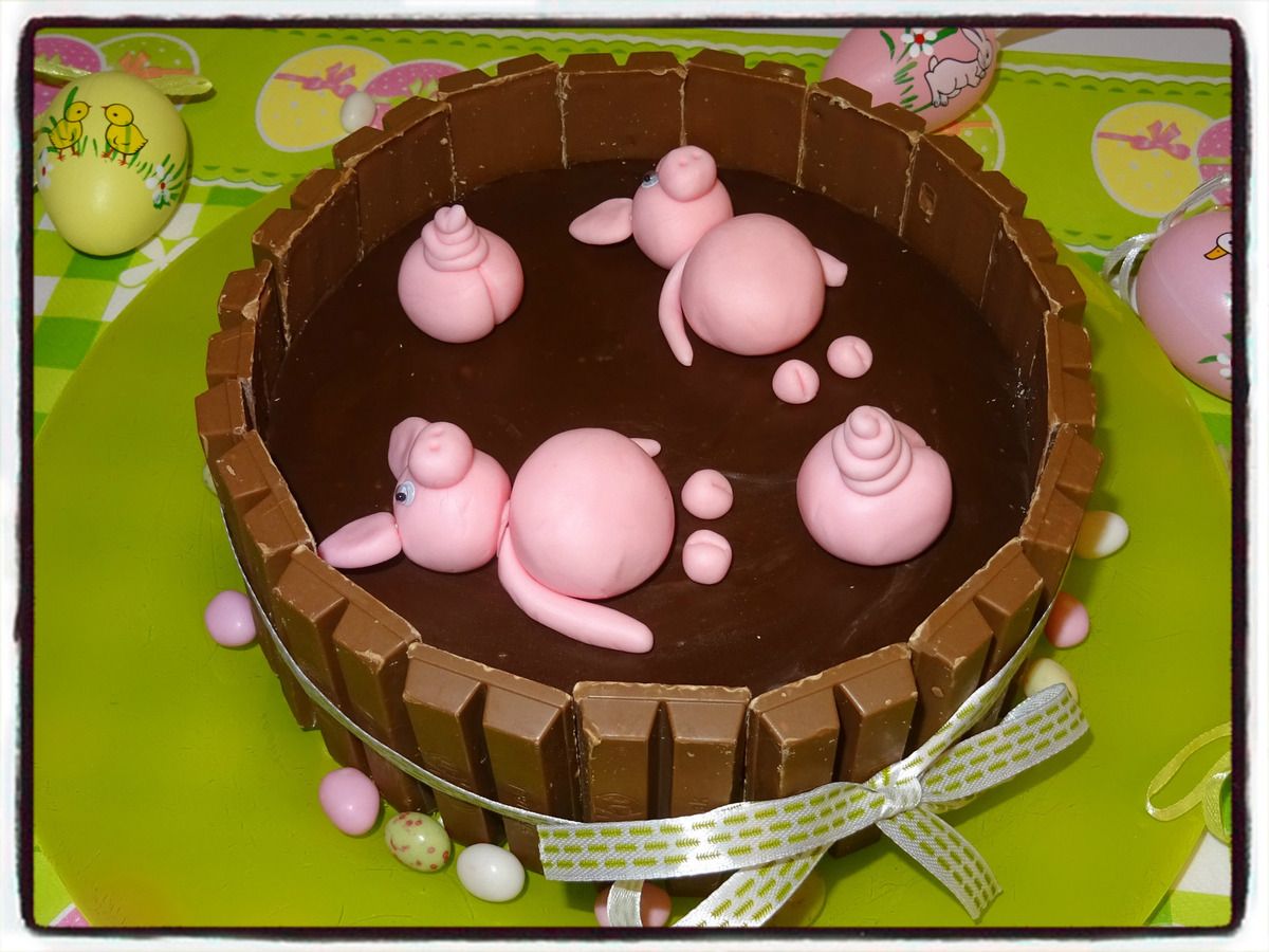 Mare Aux Cochons Bavarois Vanille Chocolat Recettes Faciles Les Gateaux De Steph