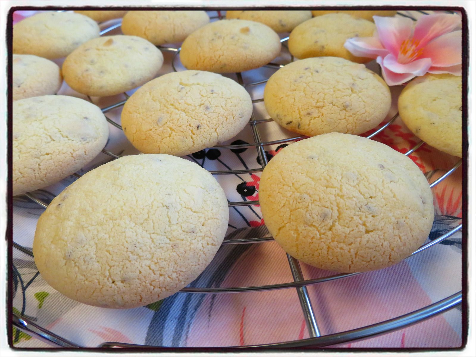 biscuits à l'anis