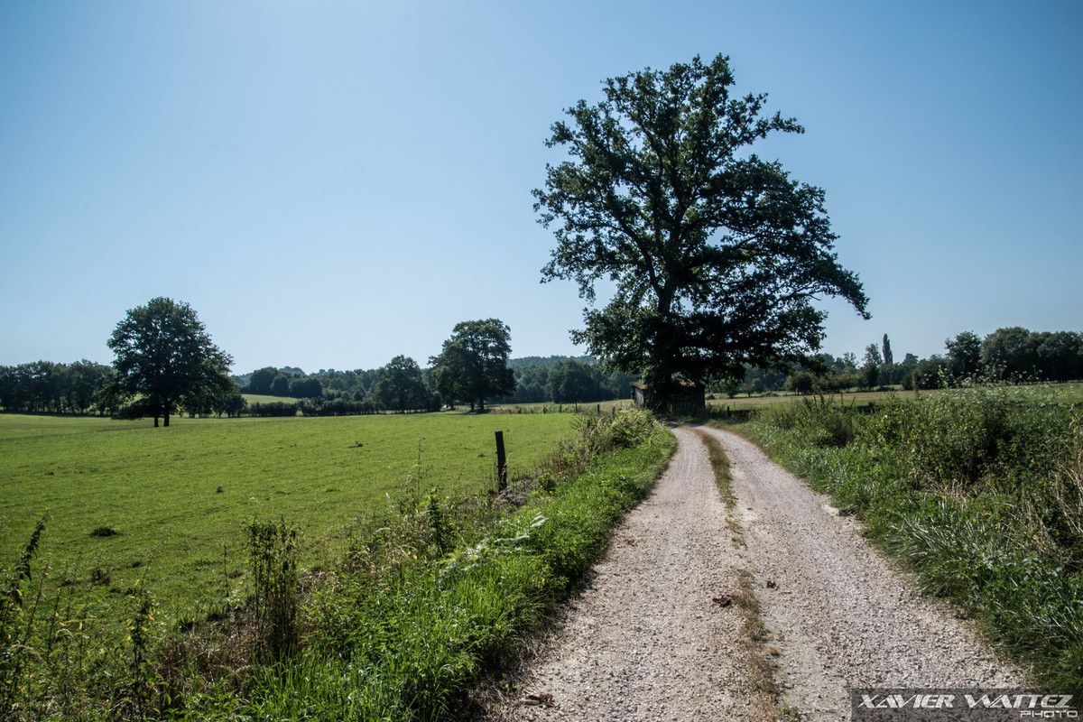 Un samedi à Cassagne
