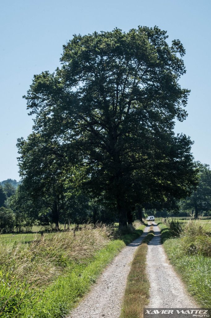 Un samedi à Cassagne