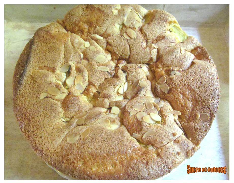 Gâteau ultra léger à la rhubarbe (Sharlotka) - www.sucreetepices.com
