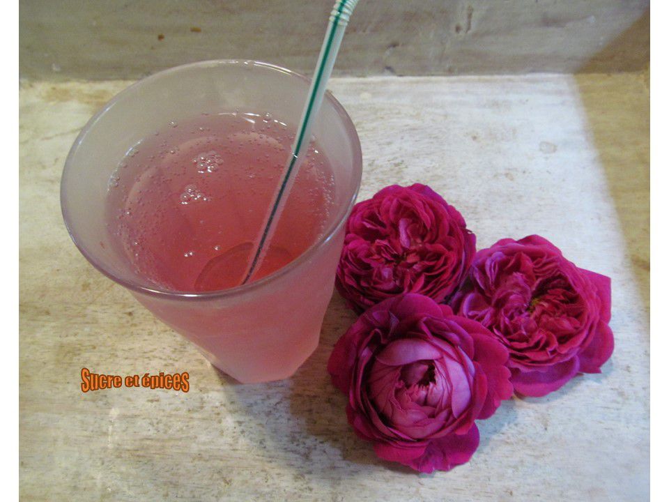 Recette de sirop de rose albanais - Recette par kilometre-0