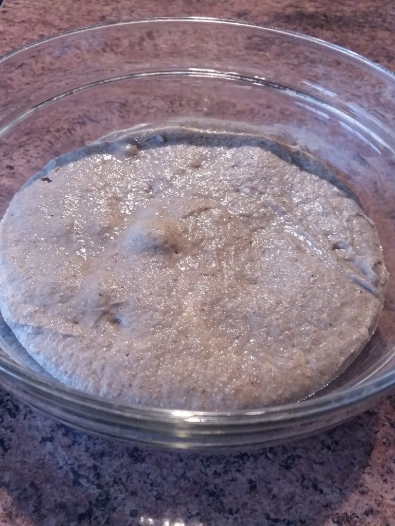 Levain J4 avant d'être "nourri" (photo 1 et 2) et levain quelques heures plus tard (photo3)