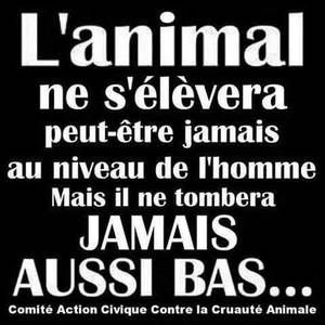 Citation Annette Creations Et Passions