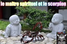 maître spirituel et le scorpion