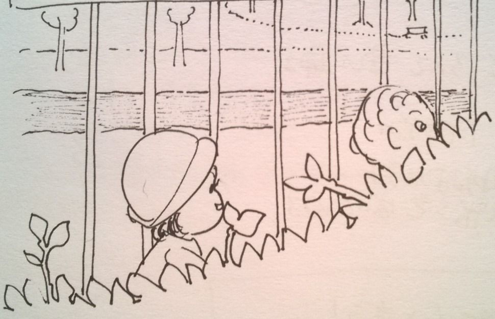 カール君 ボルドーのお母さん Maman De Bordeaux