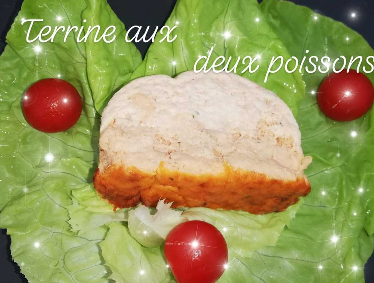 Terrine aux deux poissons La cuisine de Séverine au Thermomix
