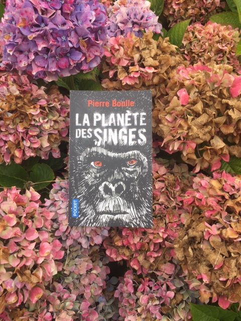 Dimanche Citation N 7 Ace Book Club