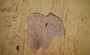 effritement des murs