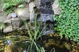 installer un bassin