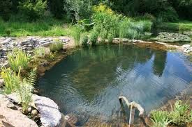 piscine naturelle