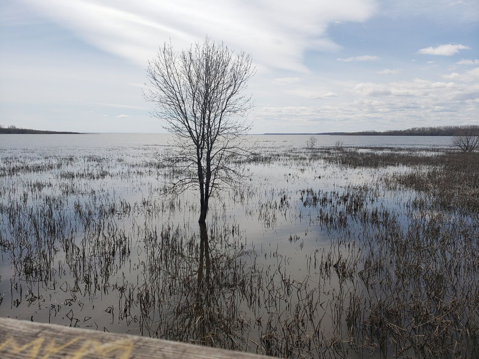 Dimanche 17 mai Réserve naturelle de