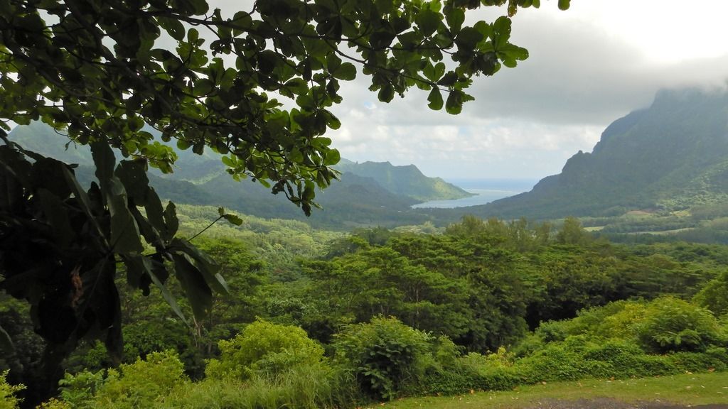 alaia64.over-blog.com