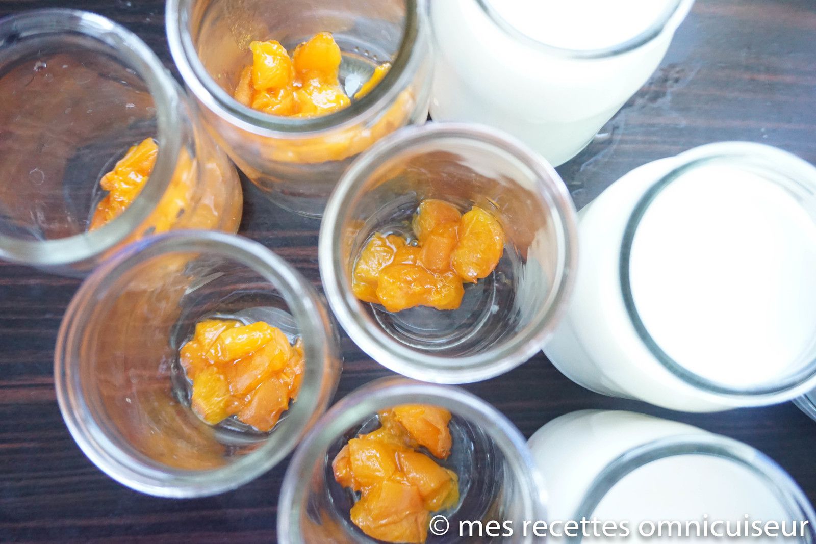 yaourts aux fruits ( recette sans lactose ) - mes recettes omnicuiseur