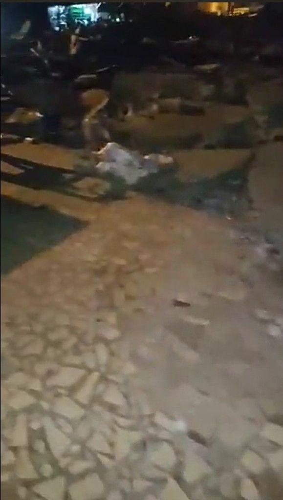 “L’homme n’est qu’un roseau, le plus faible de la nature; mais c’est un