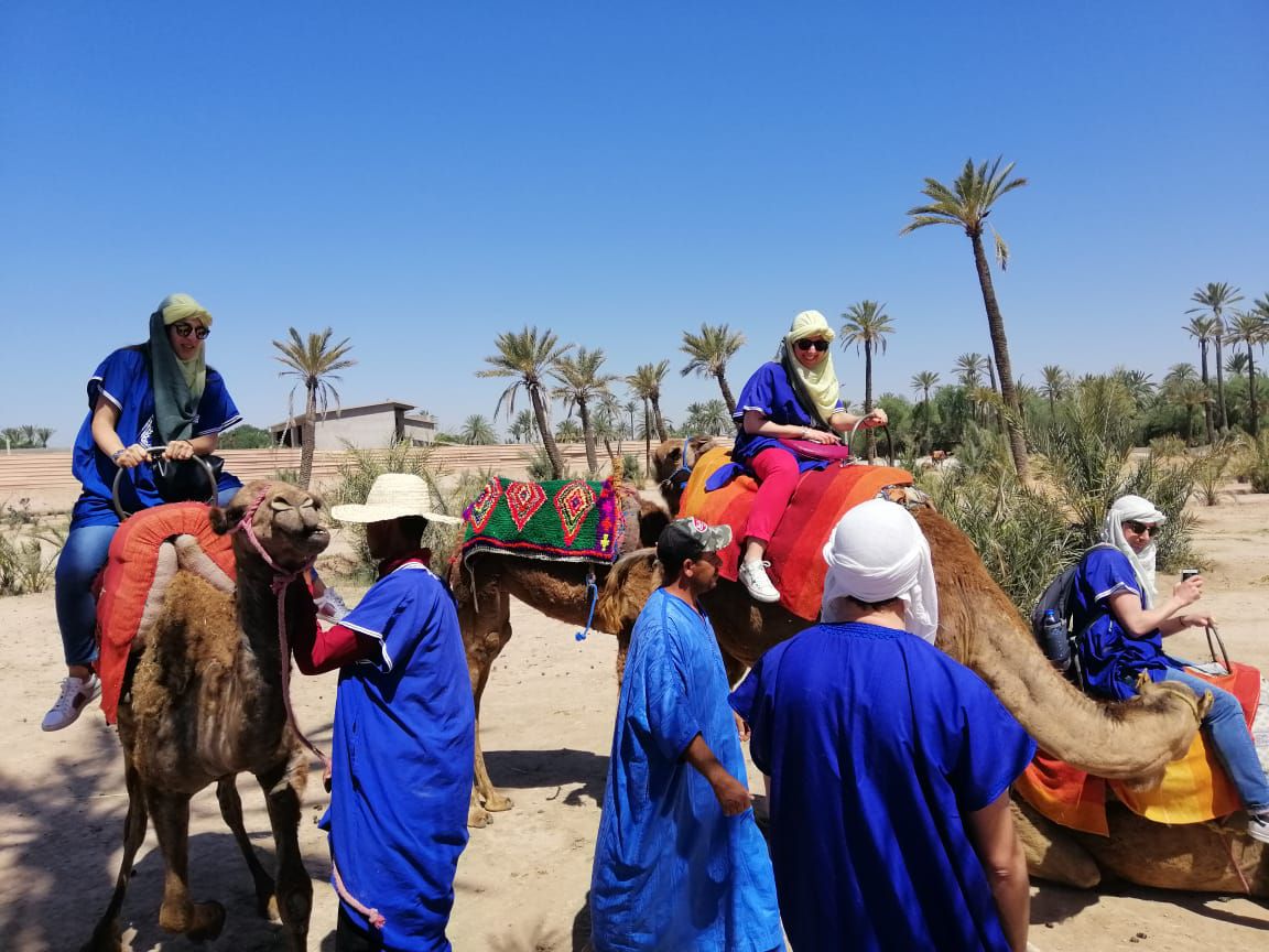 balade à dos de chameau Marrakech