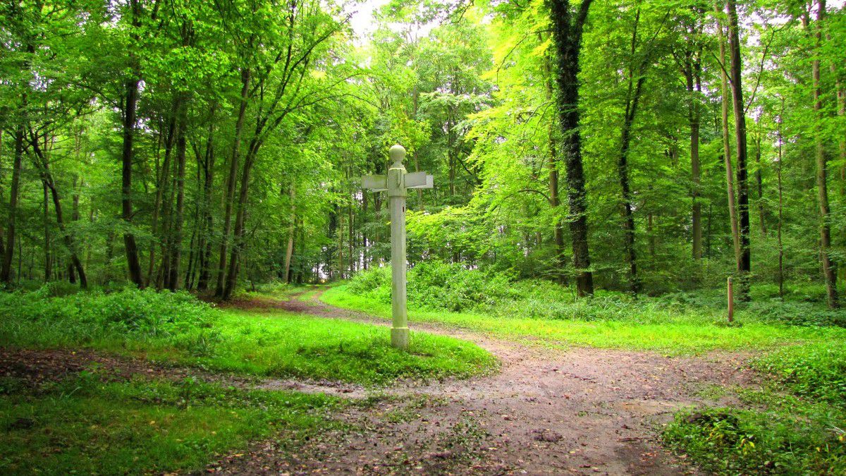 Randonnée en forêt de Compiègne_les Grands Monts_la route tournante sur la tête St-Jean
