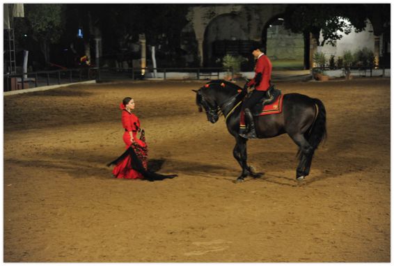 Dressage de chevaux et flamenco
