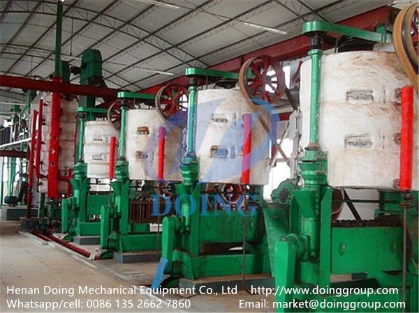 groundnut oil processing plant