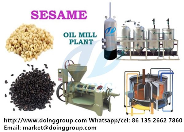 sesame oil extraction plant