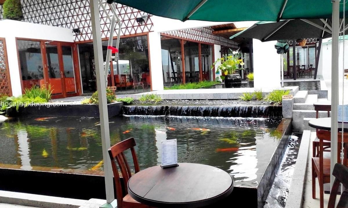 Quán cà phê Thủy Mộc với hồ cá koi rộng lớn