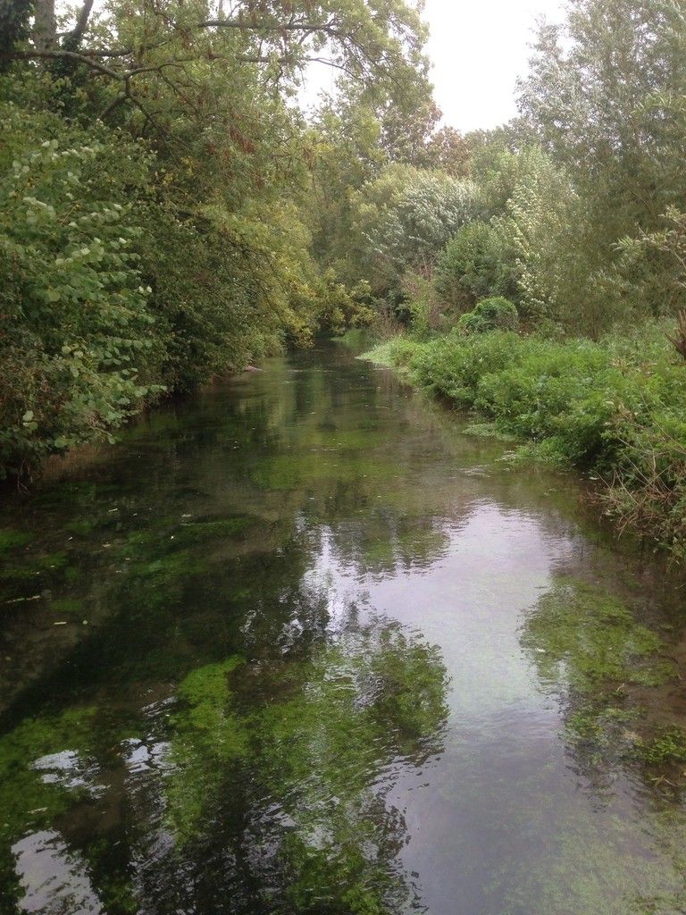 peche truite juine