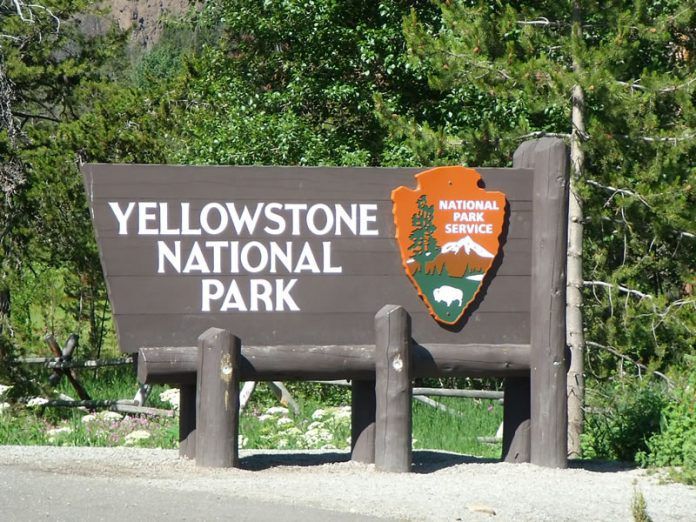 The Yellowstone Park and The Grand Teton Park 