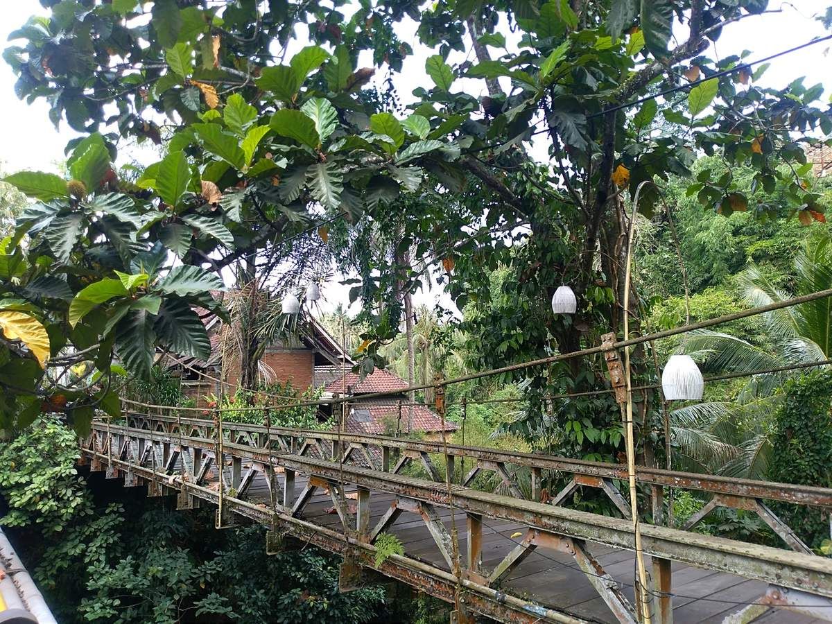 Clin d'œil à Françoise : une photo de Blanco avec Mickaël Jackson ci-dessus