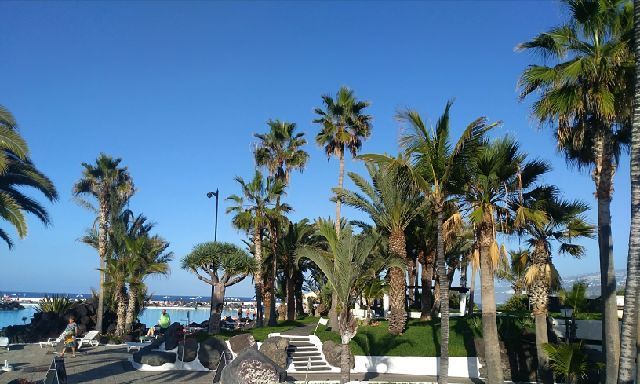 Derniers jours à Puerto de la Cruz (Ténérife)