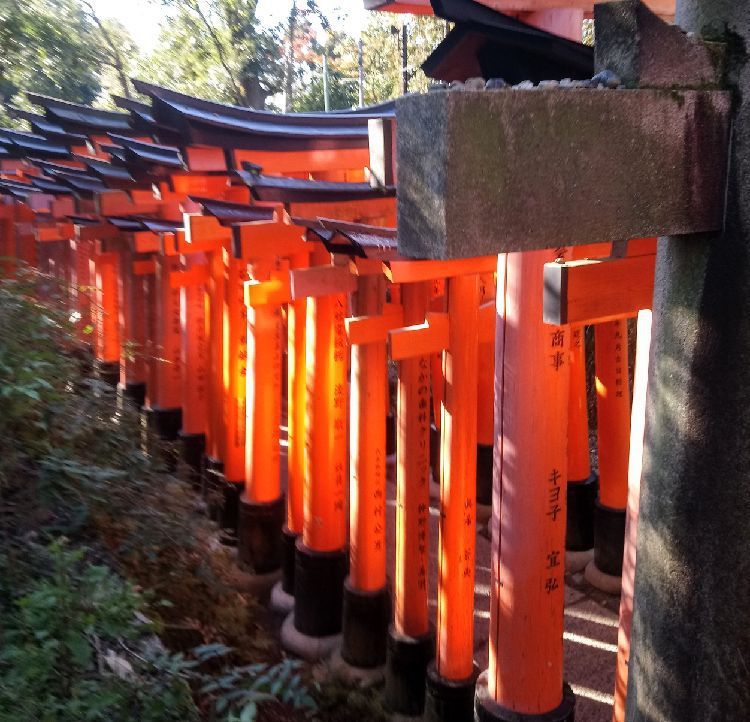 Le Fushimi-Inari de Kyoto et les beaux jardins du Tofuku-ji 