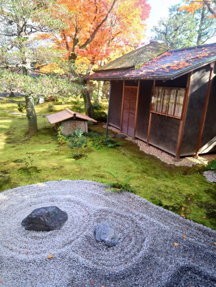 JAPON : Le Daitoku-ji, musées et bilan de mon voyage   