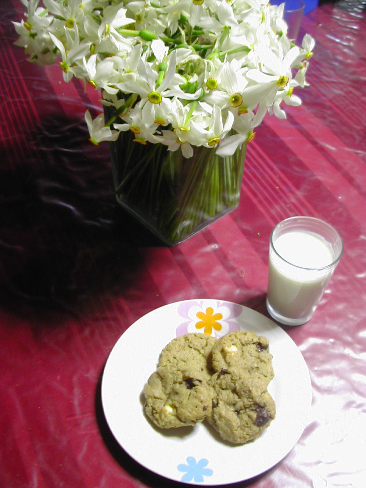 Des cookies chocolat noir et blanc accompagnés d'un verre de lait de chèvre