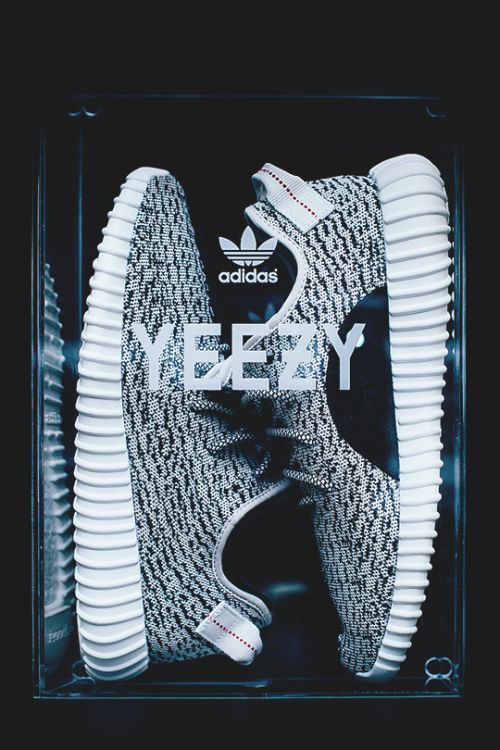 YEEZY BOOST 350 V1 Turtle Dove AQ4832 Size 11M