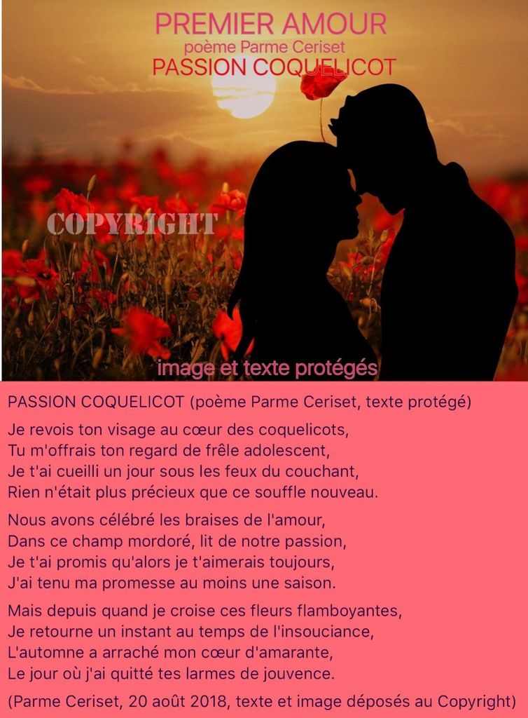 Premier Amour Passion Coquelicot Parme Ceriset La Plume Amazone Premier Amour Passion Coquelicot Parme Ceriset La Plume Amazone
