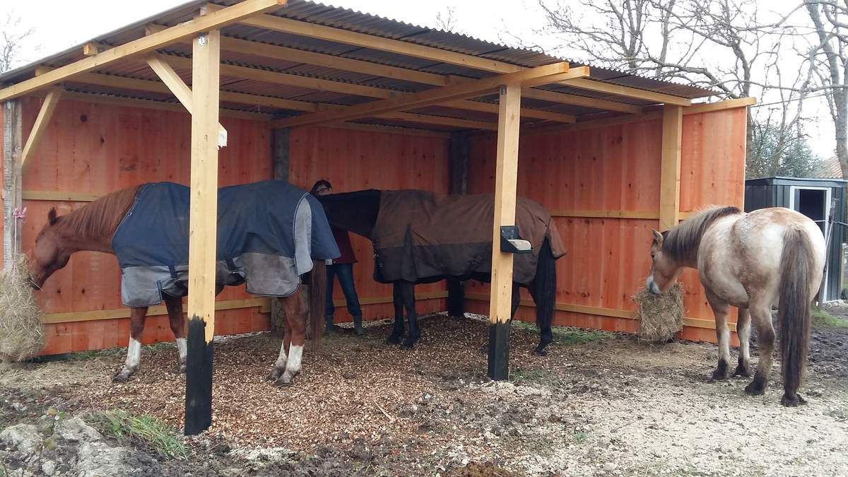 Construire un abri pour chevaux - chevaux-aux-pres.com