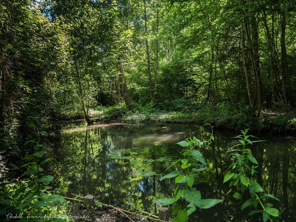 Parc Naturel Départemental des Courtils et des Mauves à Meung sur Loire (Loiret)
