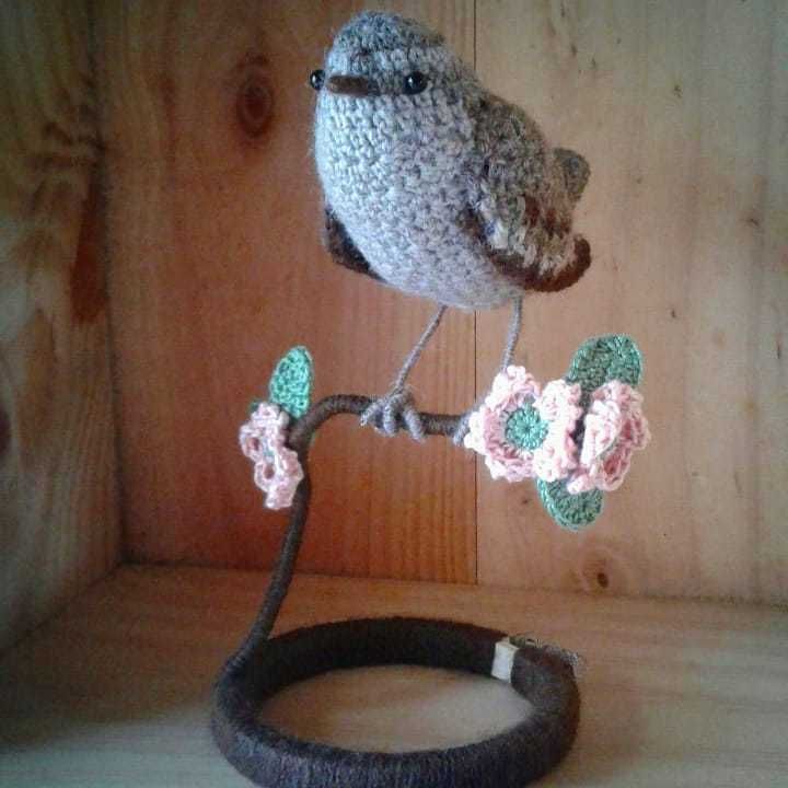 oiseau au crochet troglodyte