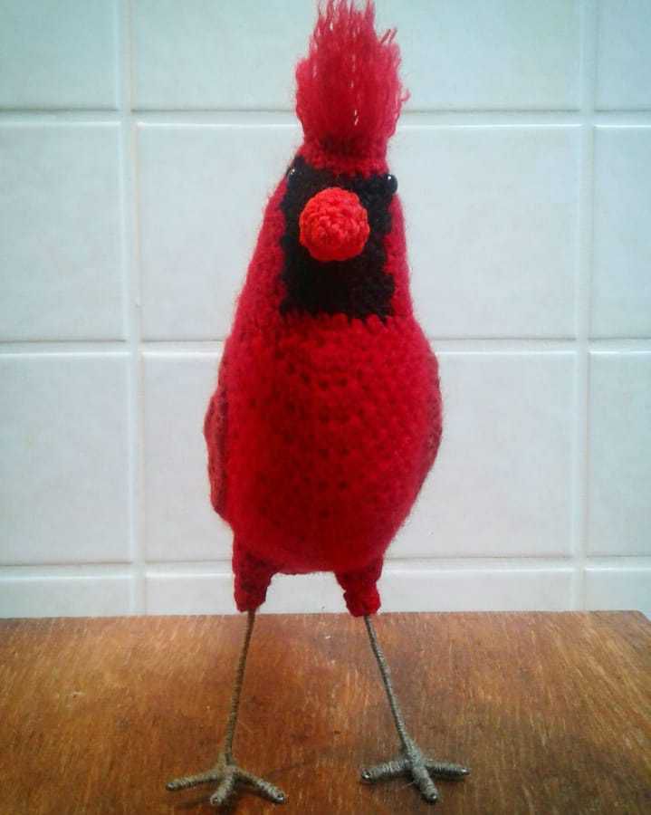 oiseau au crochet cardinal Vanessa Mooncie