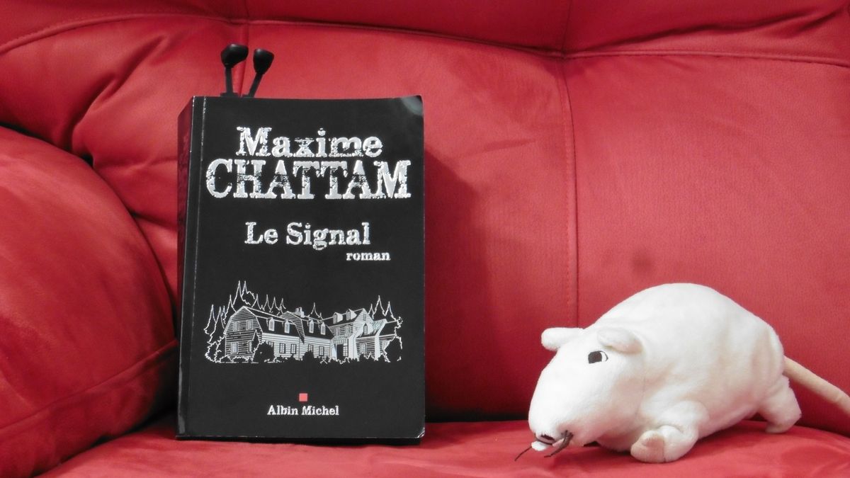 Frissons Et Epouvante Le Dernier Maxime Chattam Le Signal Edition Albin Michel Les Rats De Bib