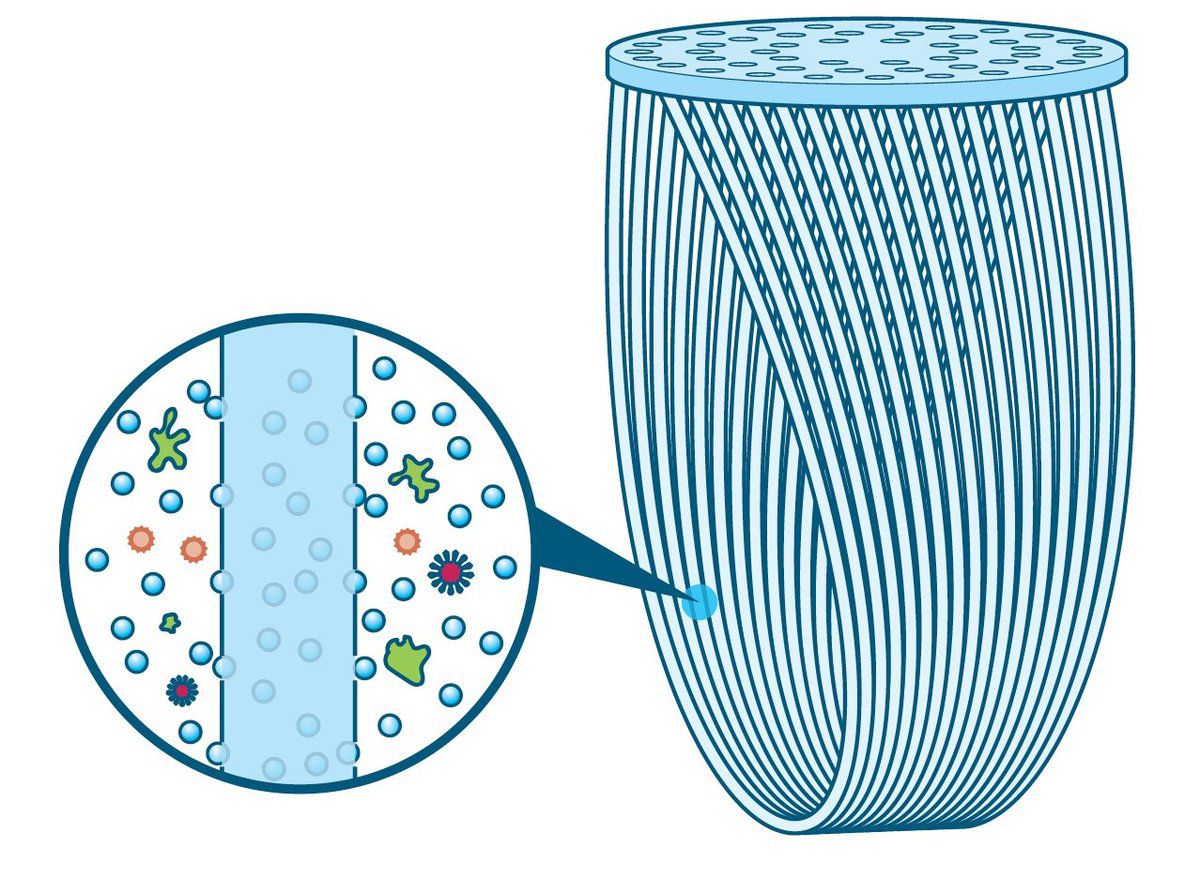 Membrane fibres creuses du filtre Paille Lifestraw