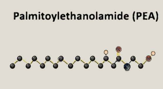 Palmitoylethanolamide supplement and dosage - Natural and Nutritional Ingredient