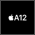 Apple A12