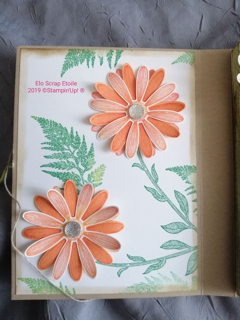 Adorables marguerites Stampin'Up 