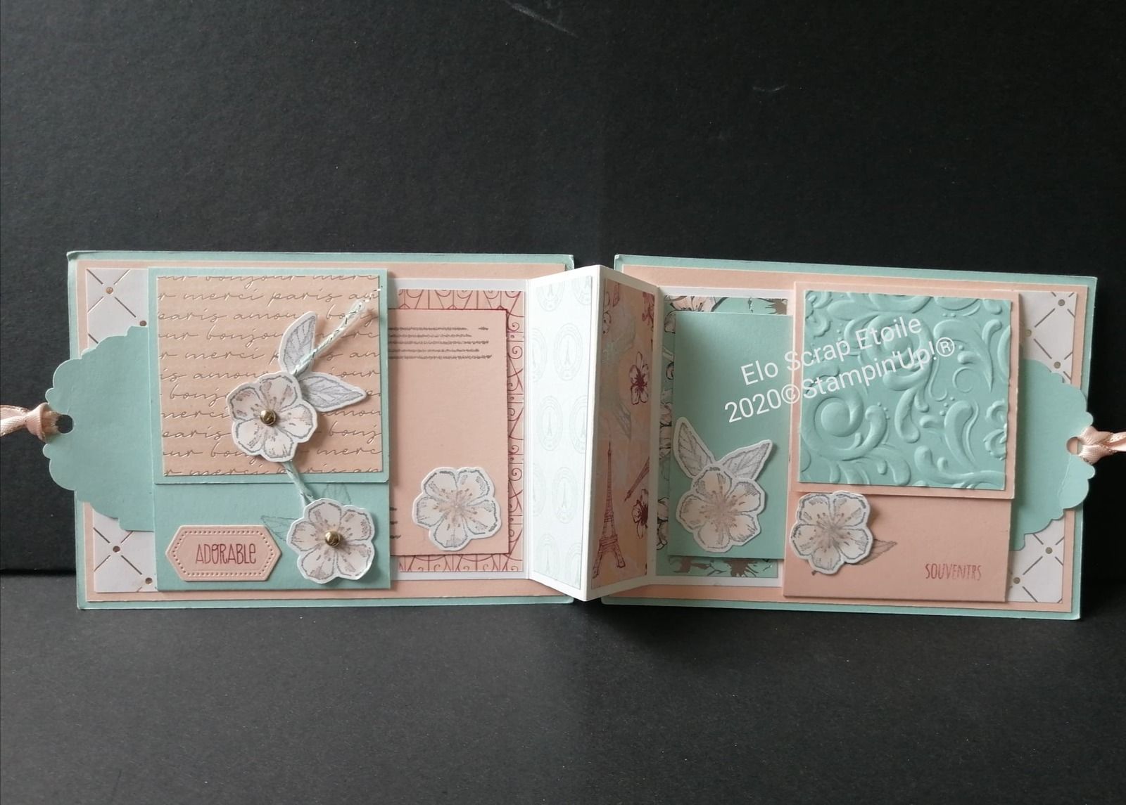 mini album facile , sachet sucrerie, piscine party, pétale de rose, Stampin Up