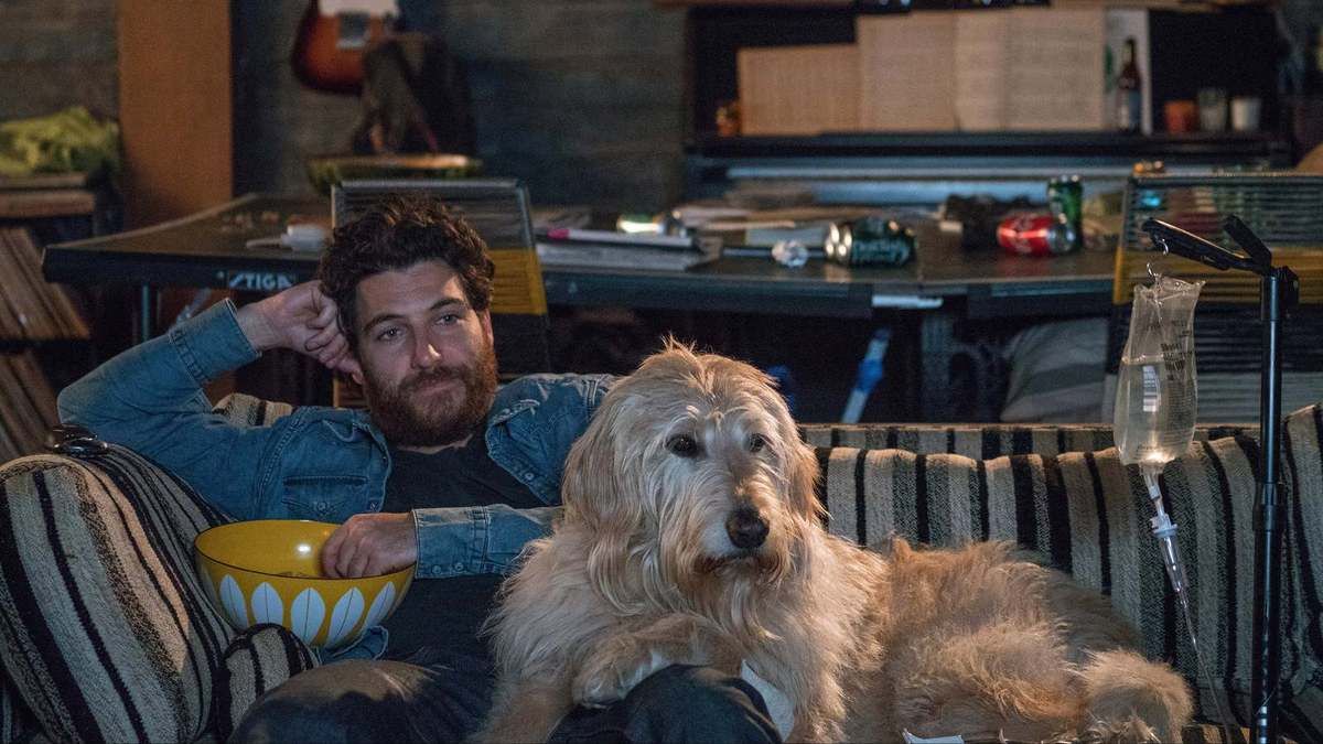 Ver Pelicula I Love Dogs Película 2018 Completa Online En Español Completa Espanol Latino