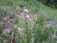 Abkühlung gesucht...