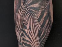 tatouage zèbre