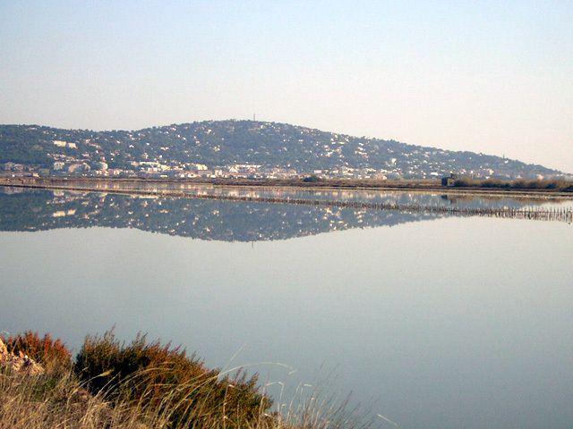 Sète ici sète ! défense de toucher !