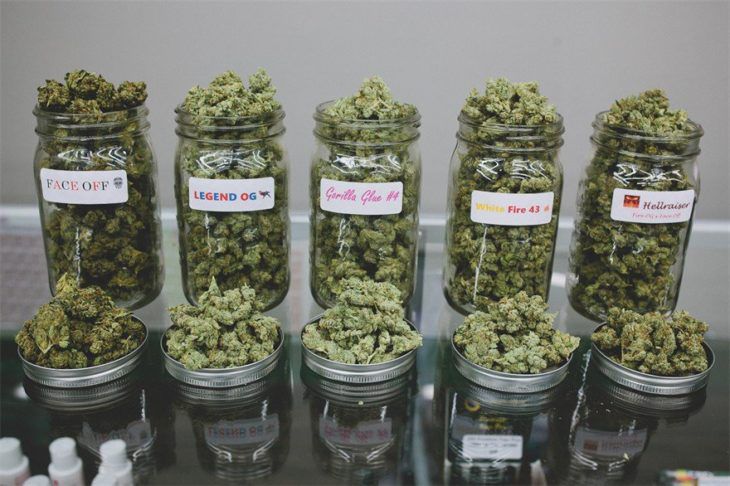 Order Marijuana online with worldwide shipping on http://www ...